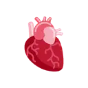Anatomical heart cartoon animated emoji