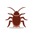 Cockroach cartoon animated emoji