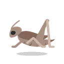 Cricket cartoon animated emoji