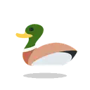 Duck cartoon animated emoji