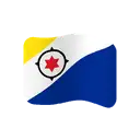 Flag: Caribbean Netherlands cartoon animated emoji