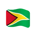 Flag: Guyana cartoon animated emoji
