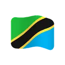 Flag: Tanzania cartoon animated emoji