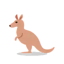 Kangaroo cartoon animated emoji
