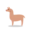 Llama cartoon animated emoji