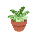 Potted plant cartoon animated emoji