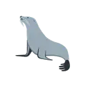 Seal cartoon animated emoji