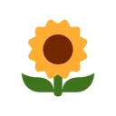 Sunflower cartoon animated emoji