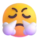 Face with steam from nose 3D animated emoji